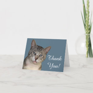 Cartão De Agradecimento Meece The Cat Thank You Card