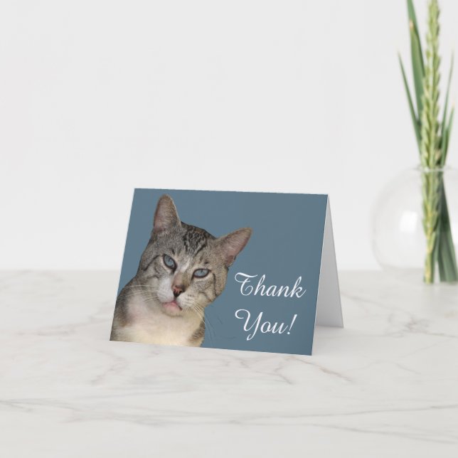 Cartão De Agradecimento Meece The Cat Thank You Card (Frente)