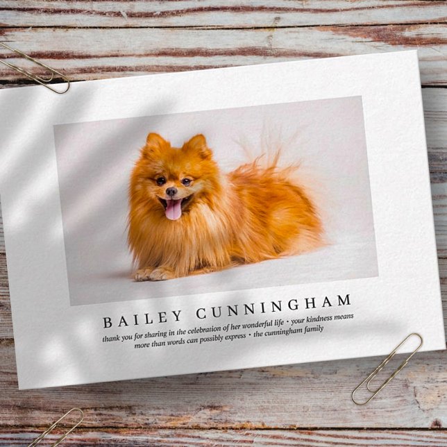 Cartão De Agradecimento Memorial de Funeral para Pet | Foto Moderna Elegan (Criador carregado)