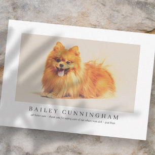 Cartão De Agradecimento Modern And Simple Photo Pet Thanks Vet Nurses