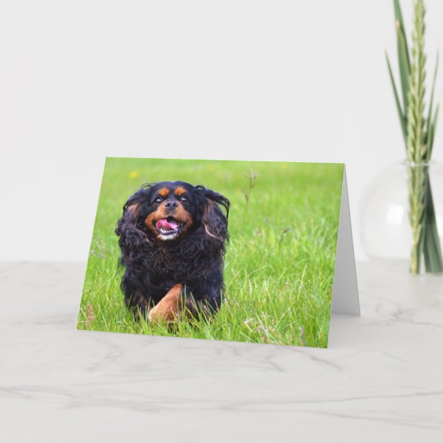 Cartão De Agradecimento Molder. Cavalier King Charles Spaniel (Frente)
