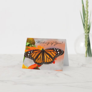Cartão De Agradecimento Monarch Butterfly Thinking of You