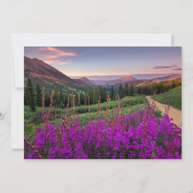 Cartão De Agradecimento Montanhas | Montanhas Rocky, Colorado (Frente)
