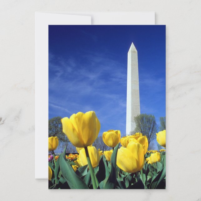 Cartão De Agradecimento Monumentos | Monumento a Washington em Primavera (Frente)