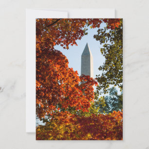 Cartão De Agradecimento Monuments Washington Monument in Autumn