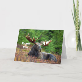 Cartão De Agradecimento Moose