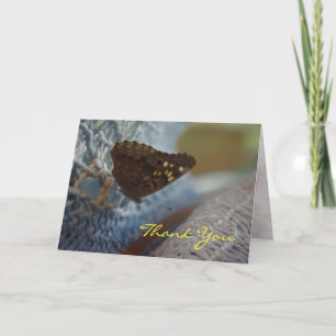 Cartão De Agradecimento Moth on Blue Hat Thank You Card