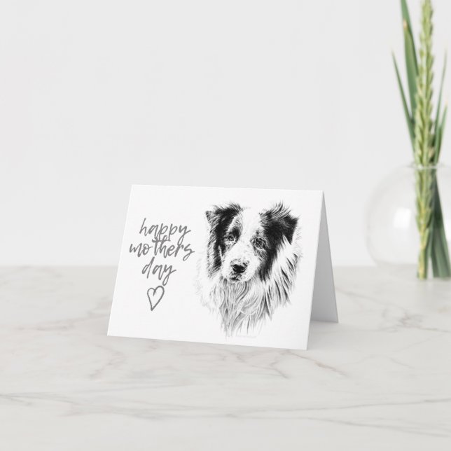 Cartão De Agradecimento Mothers Day Card - Border Collie (Frente)