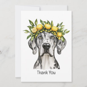 Cartão De Agradecimento Muito Obrigado, Merle, Grande Coroa De Limão-Cão-D