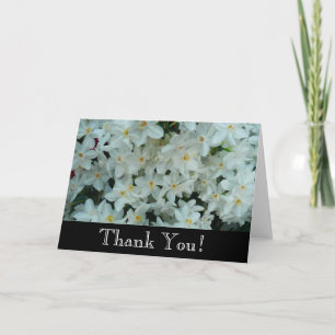 Cartão De Agradecimento Narciso Paperwhite Flores Brancas Delicadas