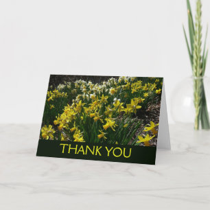 Cartão De Agradecimento Narcisos Amarelos e Brancos Flores da Primavera