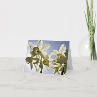 Cartão De Agradecimento Narcissen die bloeien met een lente blauwe lucht