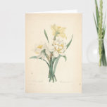 Cartão De Agradecimento Narcissus by Redoute Botanical Sympathy Card<br><div class="desc">"Pierre-Joseph Redouté (10 July 1759 in Saint-Hubert, Belgium – 19 June 1840 in Paris), was a Belgian painter and botanist, known for his watercolours of roses, lilies and other flowers at Malmaison. He was nicknamed "The Raphael of flowers". He was an official court artist of Queen Marie Antoinette, and he...</div>