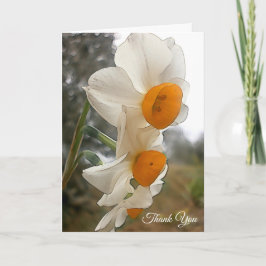Cartão De Agradecimento Narcissus. Flower.