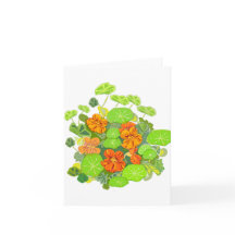 Nasturtiums Vazio Notecard