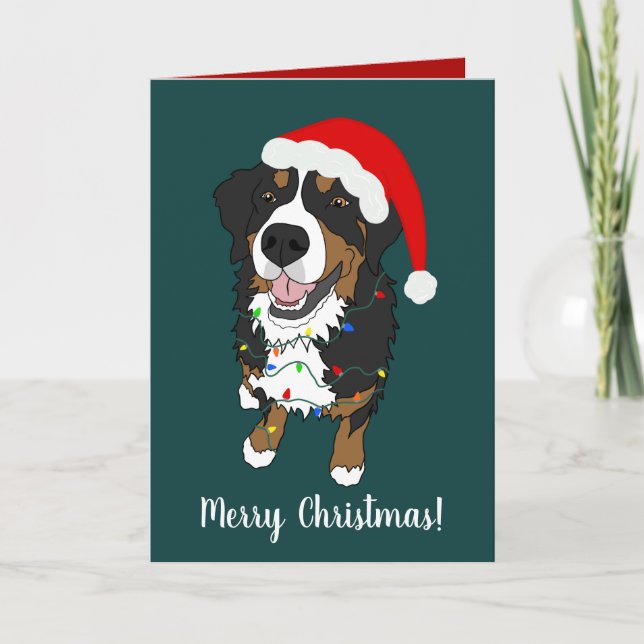 Cartão De Agradecimento Natal Feriado Bernese Mountain Dog (Frente)