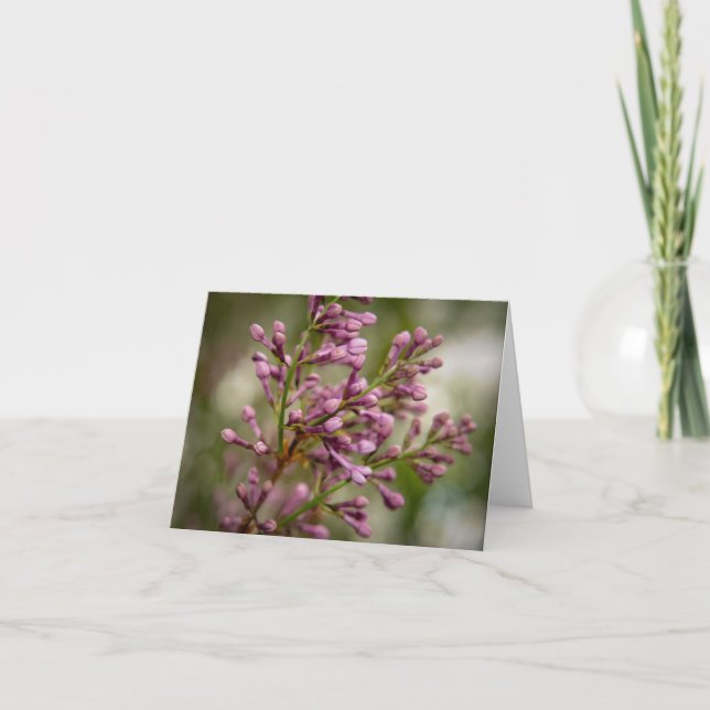 Cartão De Agradecimento New Mexico Garden (Frente)