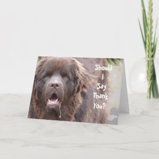 Cartão De Agradecimento Newfoundland Dog Thank You
