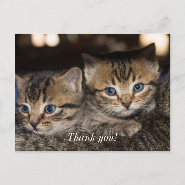 Cartão de agradecimento no dorso da mamãe (Frente)