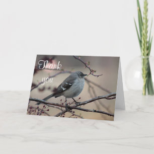Cartão De Agradecimento Northern mockingbird