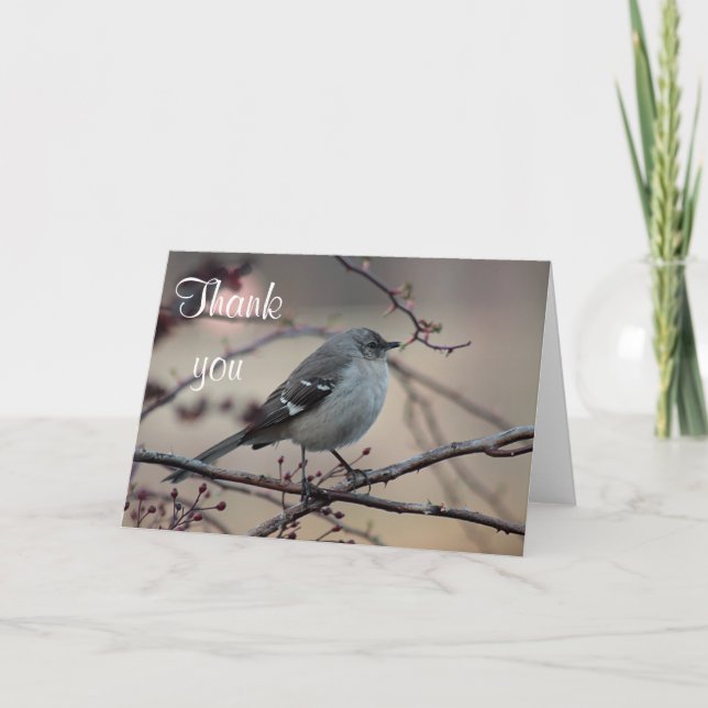 Cartão De Agradecimento Northern mockingbird (Frente)