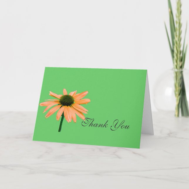 Cartão De Agradecimento nota de agradecimento, flores de margarida (Frente)