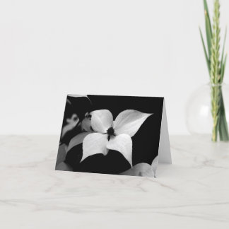 Cartão De Agradecimento Note Card - B/W Dogwood