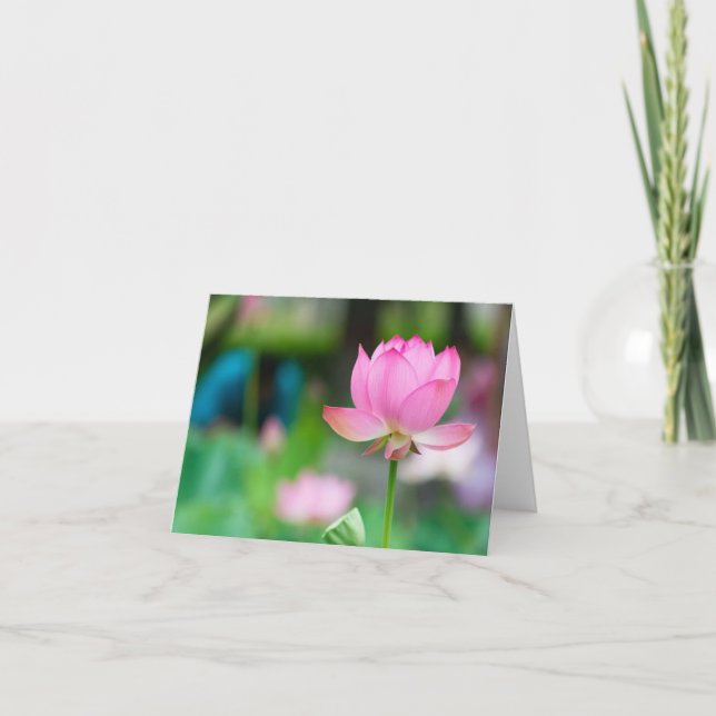 Cartão De Agradecimento Notecard Lotus All Occasion (Frente)