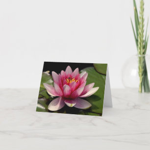 Cartão De Agradecimento Notecard Lotus All Occasion