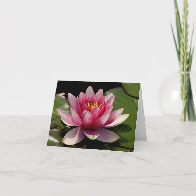 Cartão De Agradecimento Notecard Lotus All Occasion (Frente)