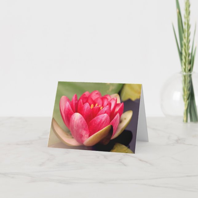 Cartão De Agradecimento Notecard Lotus All Occasion (Frente)