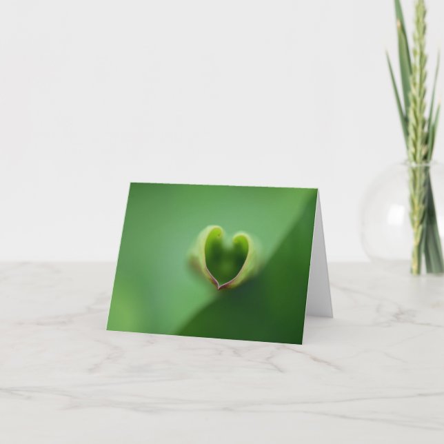 Cartão De Agradecimento Notecard Lotus All Occasion (Frente)