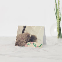 o cachorrinho da vaca se vê no espelho