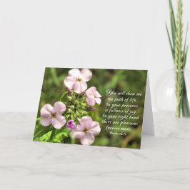 Cartão De Agradecimento O caminho da vida - placa de script