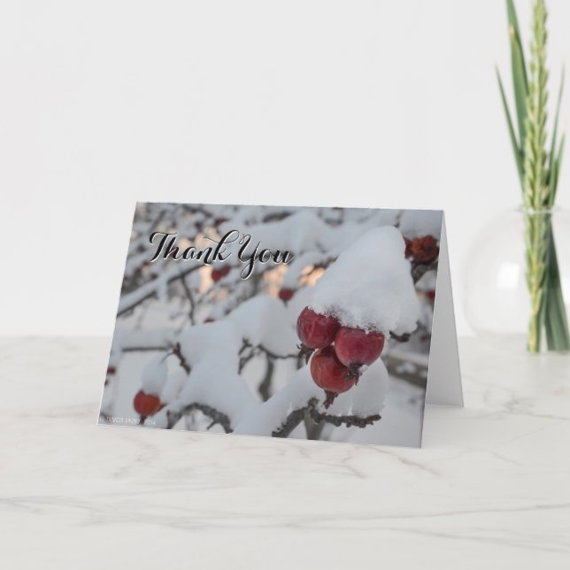 Cartão De Agradecimento O caranguejo Apple nevado agradece-lhe (Frente)