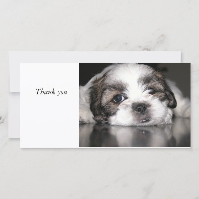 Cartão De Agradecimento o filhote de cachorro o mais bonito nunca, (Frente)