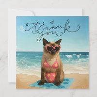 O gato está na praia