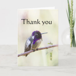 Cartão De Agradecimento O Hummingbird de Costa empoleirado em um galho
