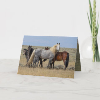 Cartão De Agradecimento O Stallion De Cinzas Selvagens Protege A Sua Carte