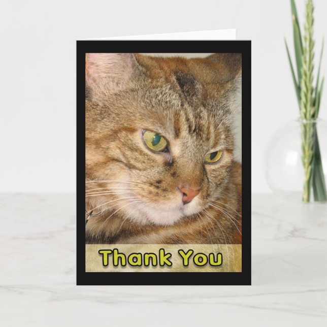 Cartão De Agradecimento obrigado (Frente)