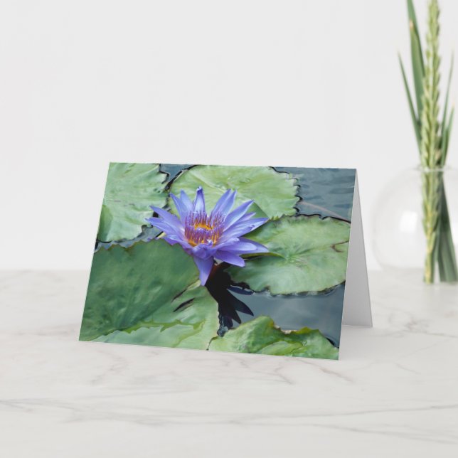 Cartão De Agradecimento Obrigado! (Frente)