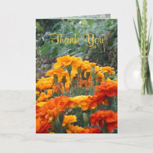 Cartão De Agradecimento Obrigado