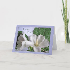 Cartão De Agradecimento Obrigado A Qualquer Flor De Hibisco Branco Ocasião