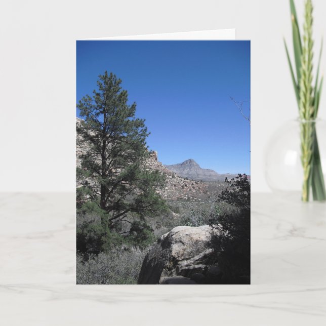 Cartão De Agradecimento Obrigado a Sailor, Vegas 09 274 (Frente)