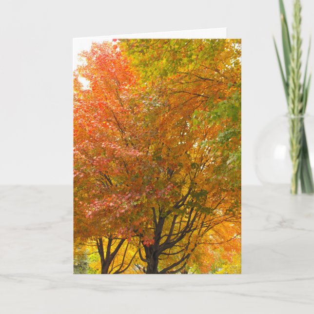 Cartão De Agradecimento Obrigado a Veterano, DSCF8707 (Frente)