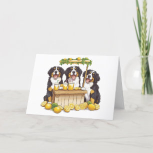 Cartão De Agradecimento Obrigado Bernese Mountain Dogs Lemonade Stand