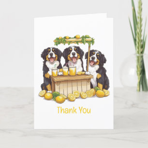 Cartão De Agradecimento Obrigado Bernese Mountain Dogs Lemonade Stand