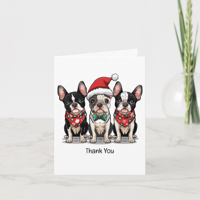 Cartão De Agradecimento Obrigado Boinas de Natal, Boston Terrier Dogs (Frente)