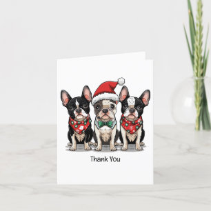 Cartão De Agradecimento Obrigado Boinas de Natal, Boston Terrier Dogs