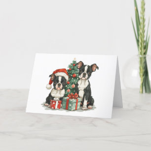Cartão De Agradecimento Obrigado Boinas de Natal, Boston Terrier Dogs